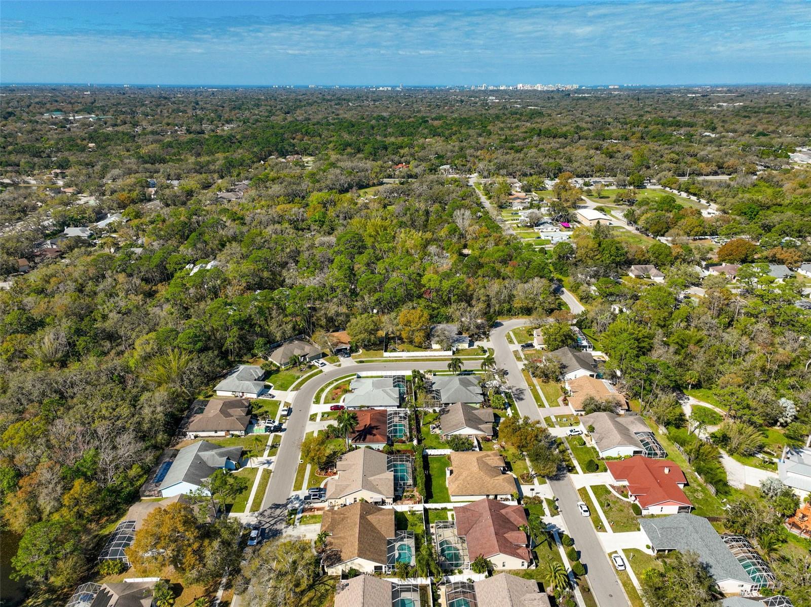 Image 38 of 46 For 5565 Sweetwater Oak Drive