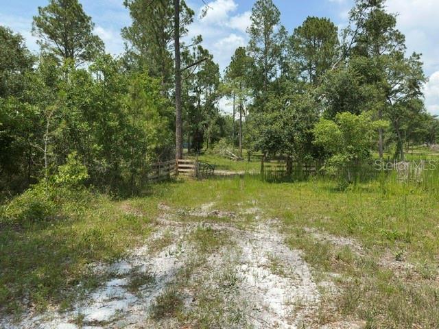 Image 12 of 13 For  Cr 49  