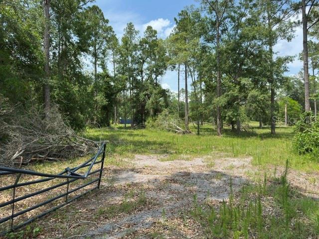 Image 13 of 13 For  Cr 49  