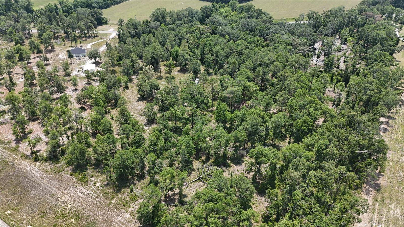 Image 4 of 13 For  Cr 49  