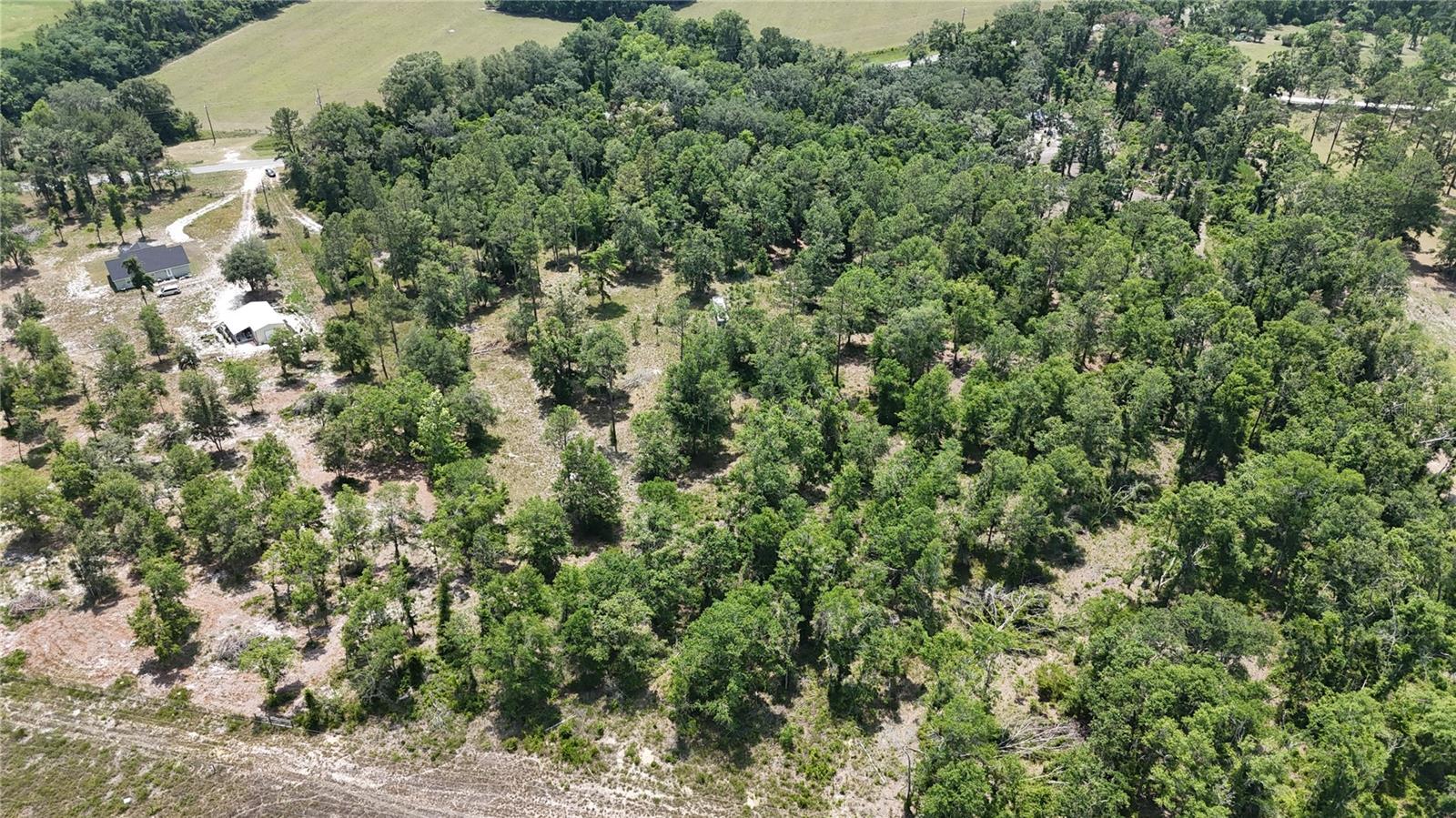 Image 5 of 13 For  Cr 49  