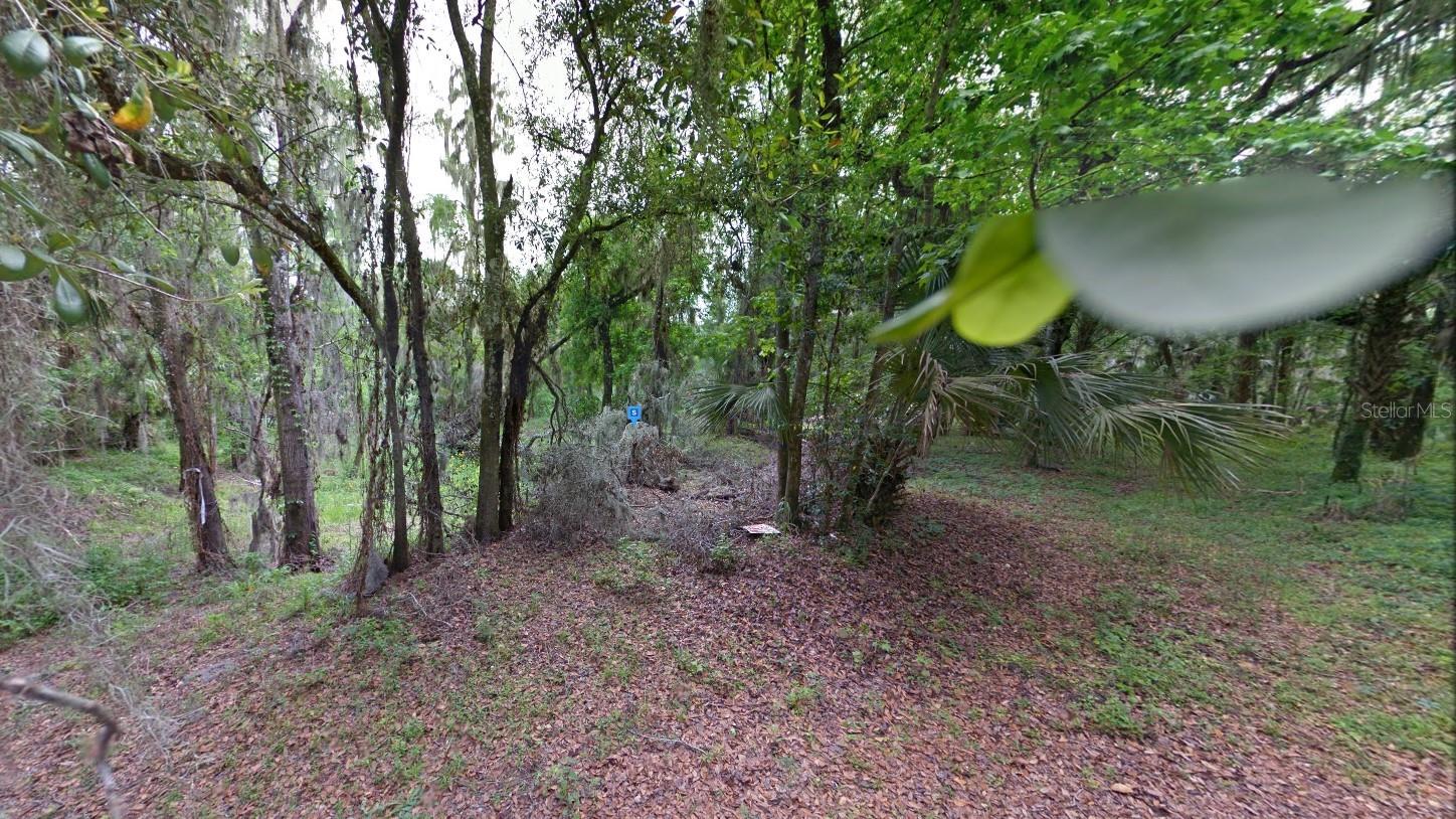 Listing photo id 0 for 4513 Coconut Cove Place