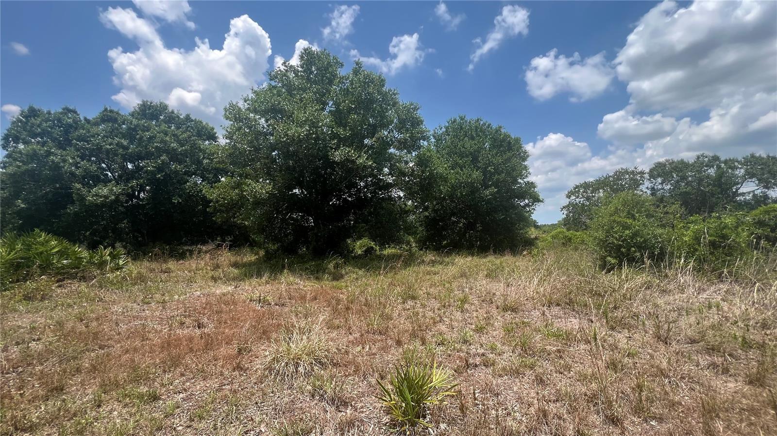 Details for 1865 Cross Avenue, ARCADIA, FL 34266