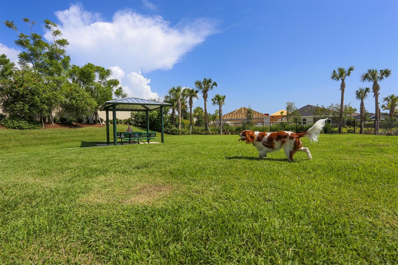 Image 70 of 70 For 6125 Anise Drive