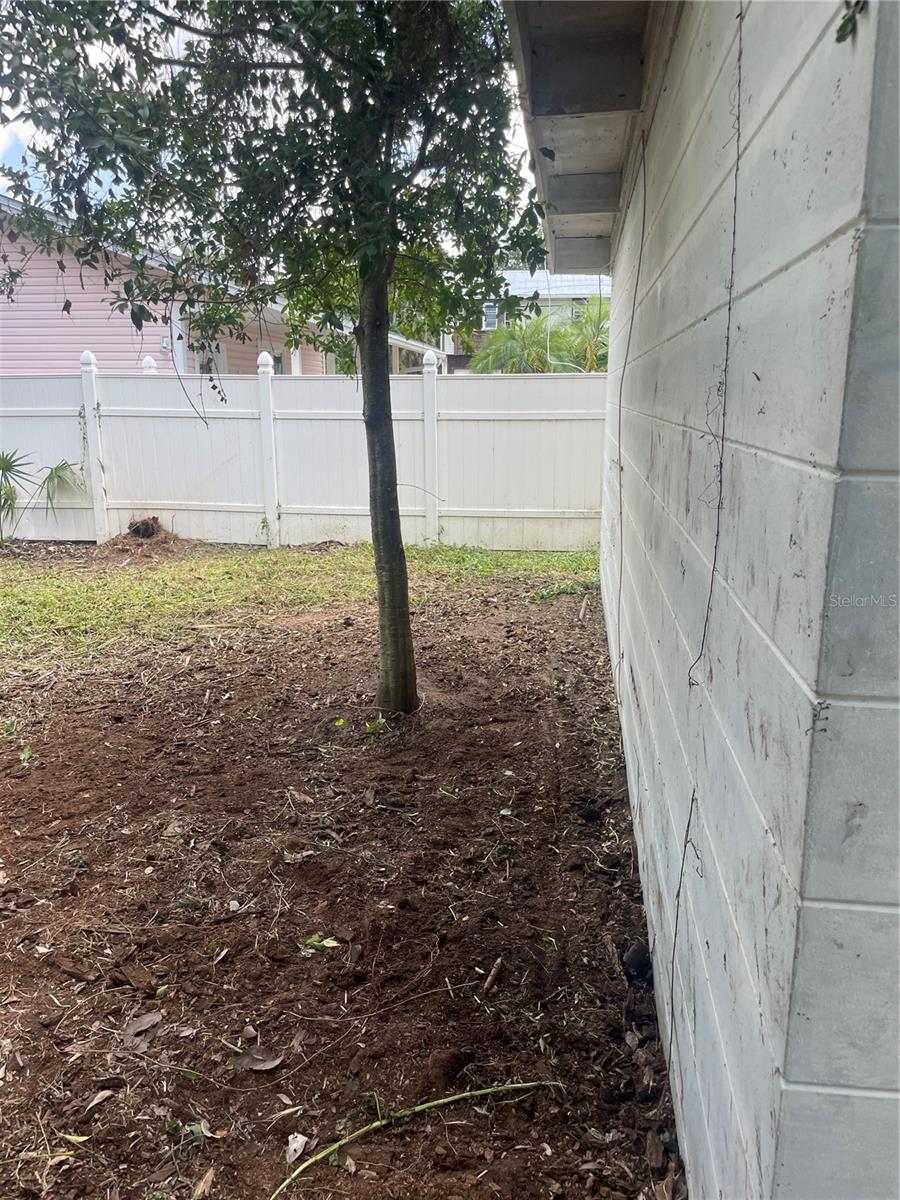 Image 11 of 16 For 2445 Webber Street