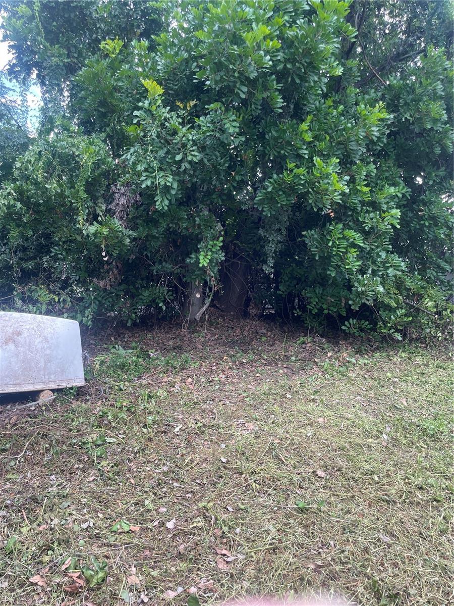 Image 13 of 16 For 2445 Webber Street