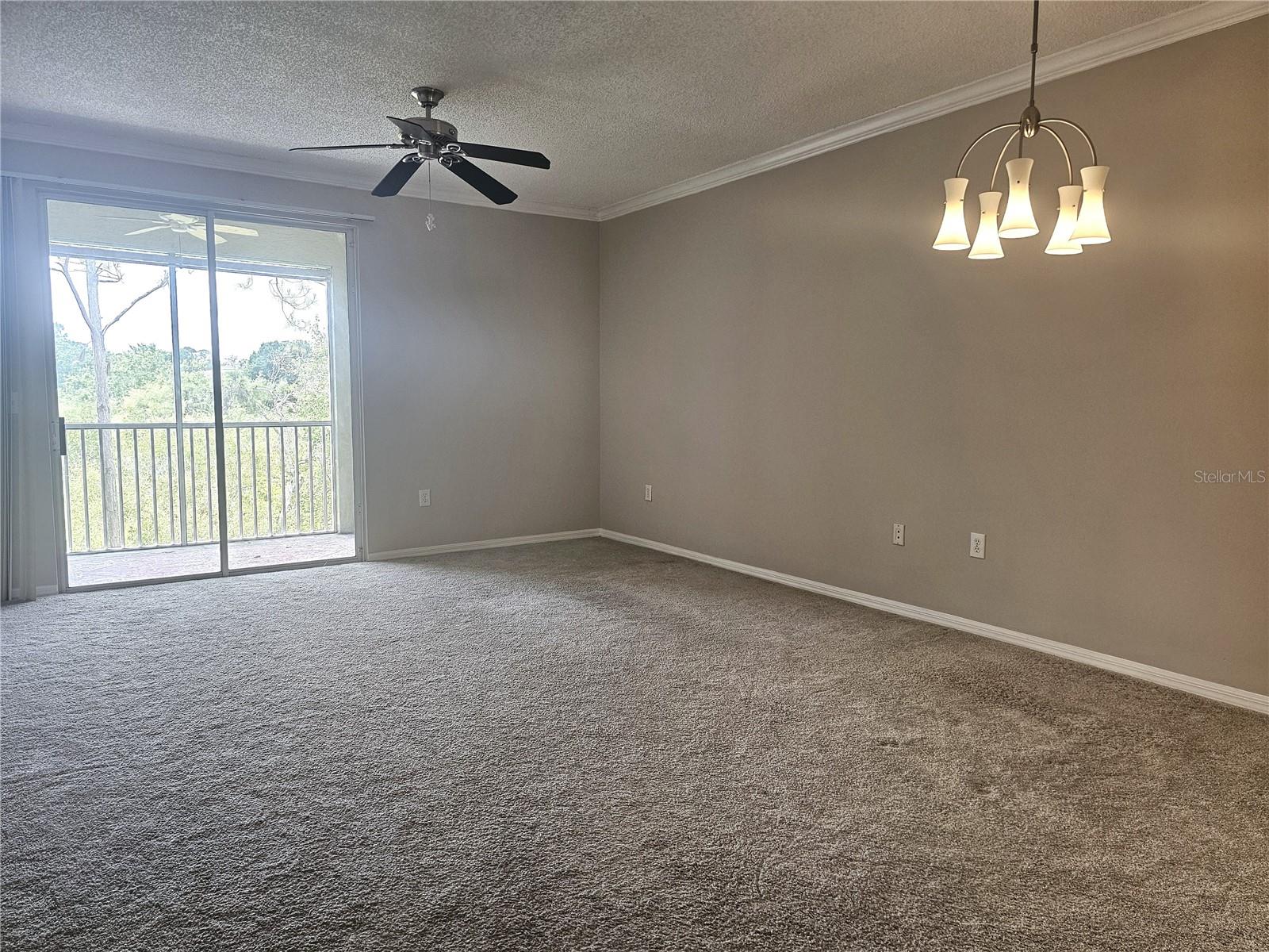 Image 13 of 25 For 5711 Bentgrass Drive 19-203