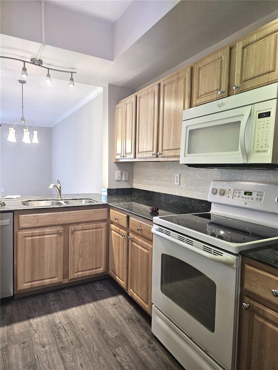 Image 15 of 25 For 5711 Bentgrass Drive 19-203