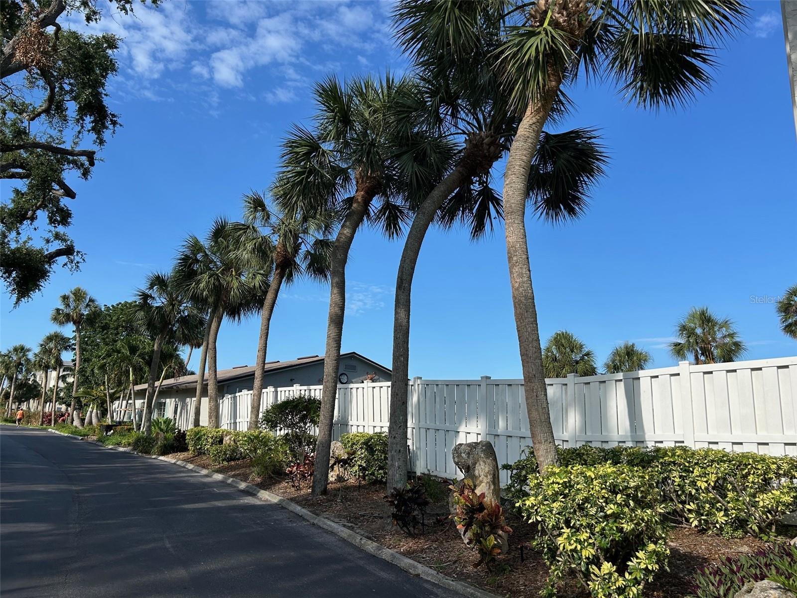 Image 38 of 64 For 3272 Lake Bayshore Drive 515