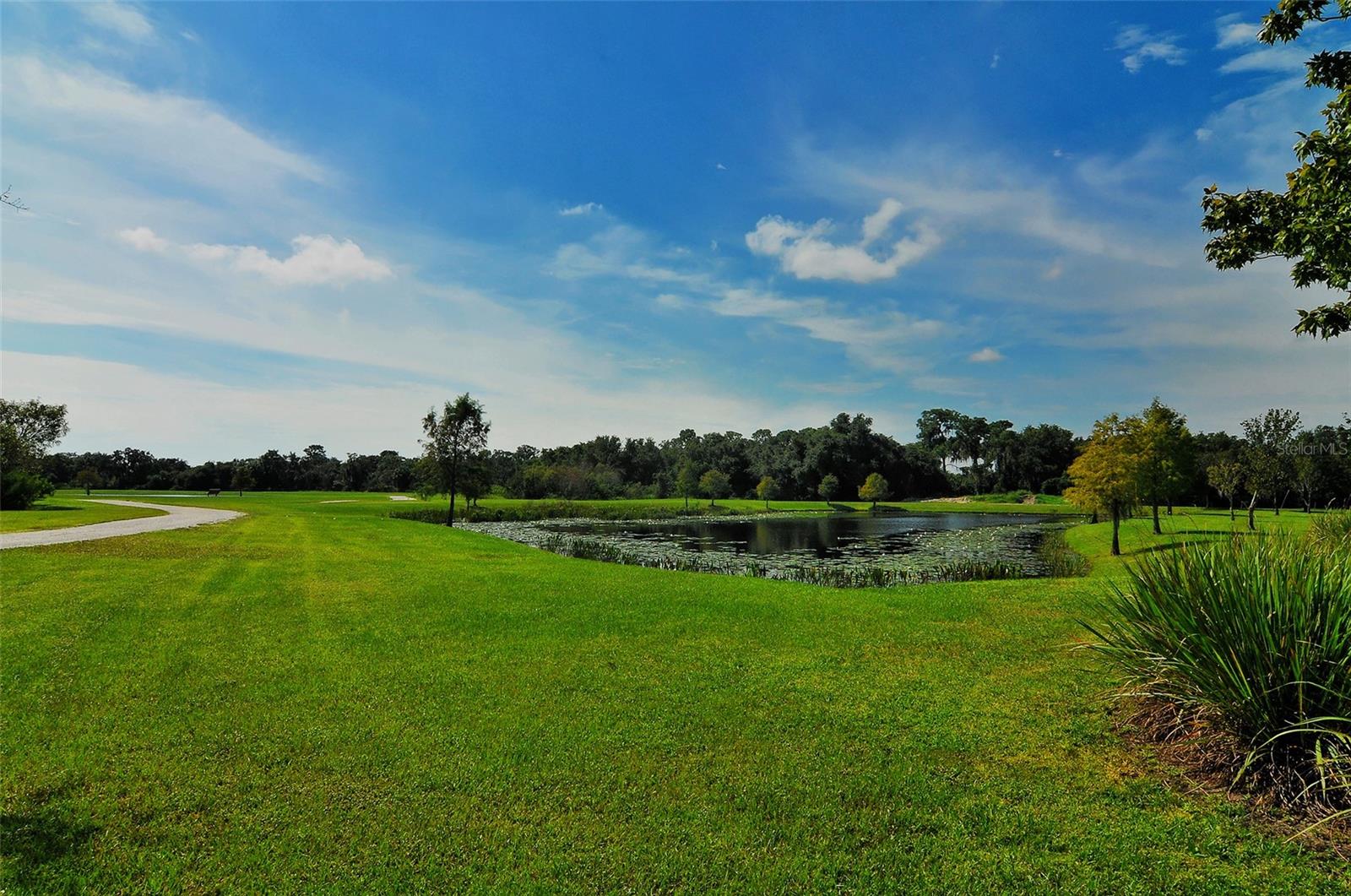 Image 63 of 75 For 6213 Willet Court