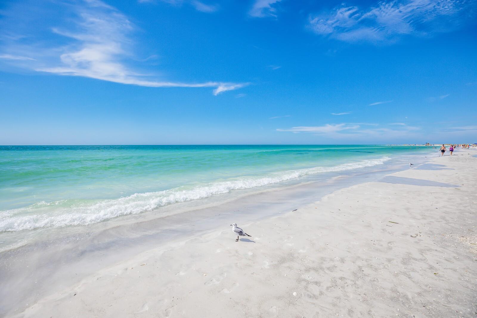 Image 42 of 43 For 1445 Gulf Of Mexico Drive 203