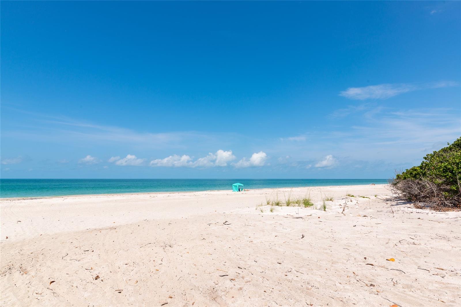 Image 39 of 60 For 3630 Gulf Of Mexico Drive 202