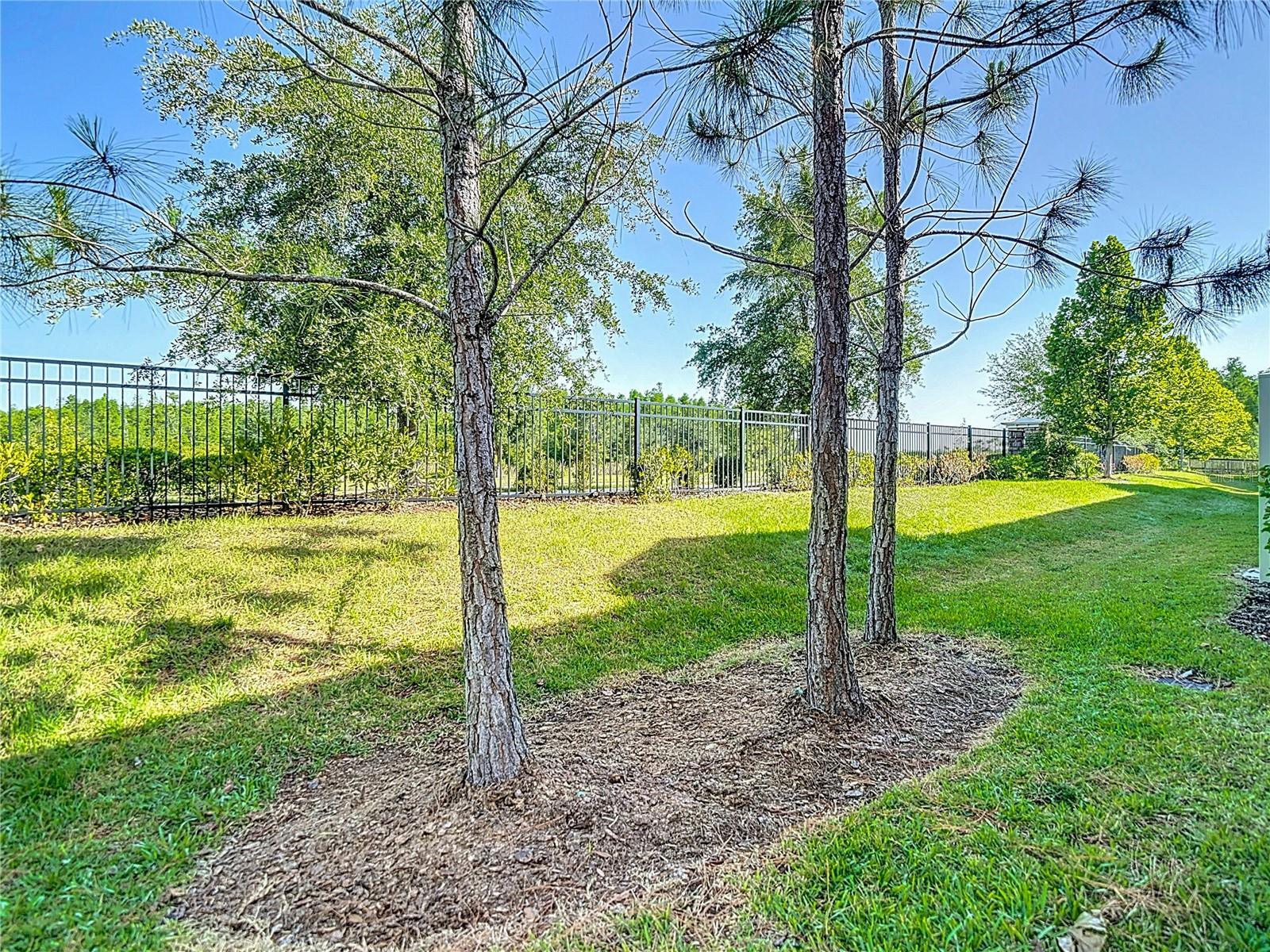 Listing photo id 54 for 30073 Southwell Lane