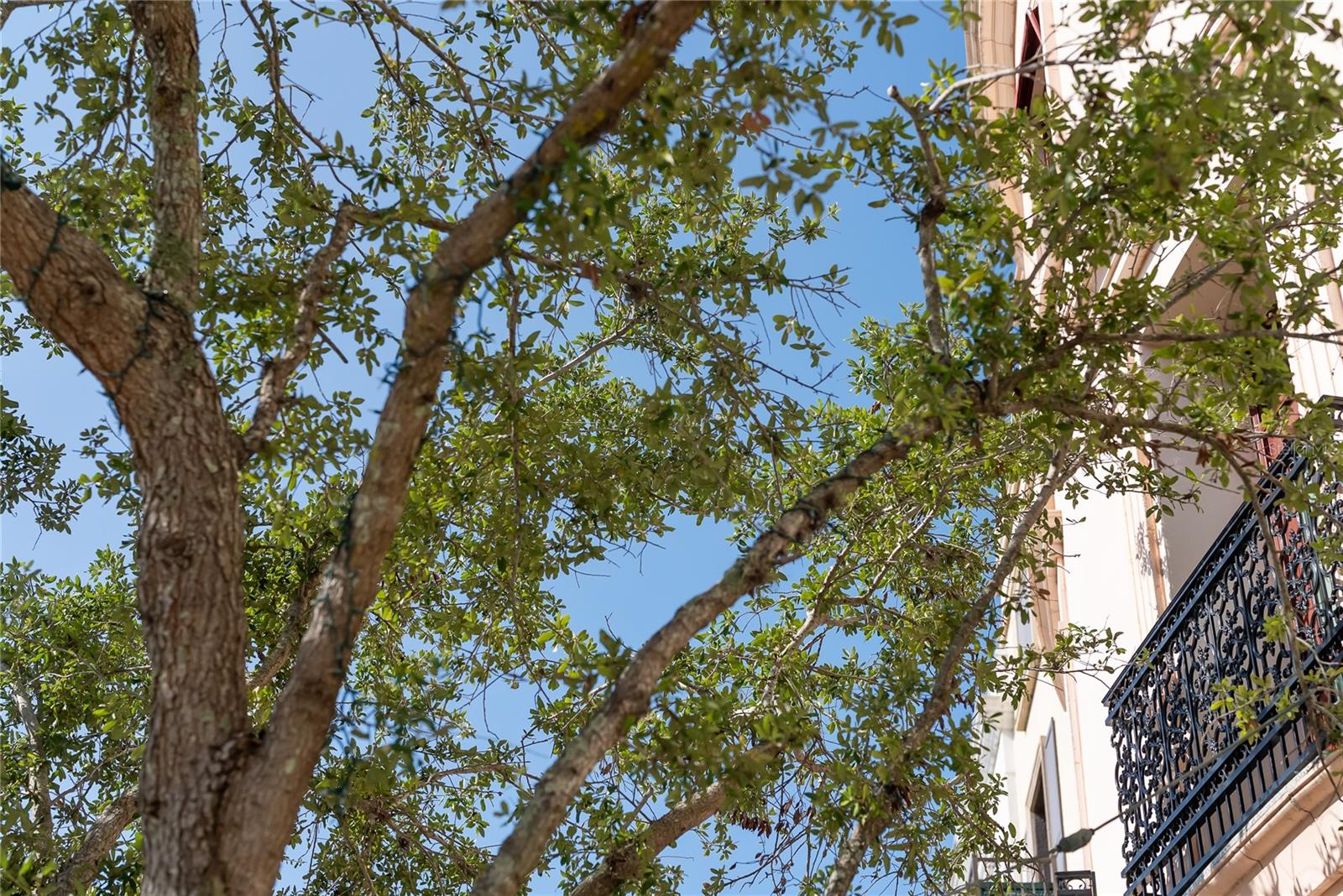 Image 59 of 74 For 525 Orange Avenue 302