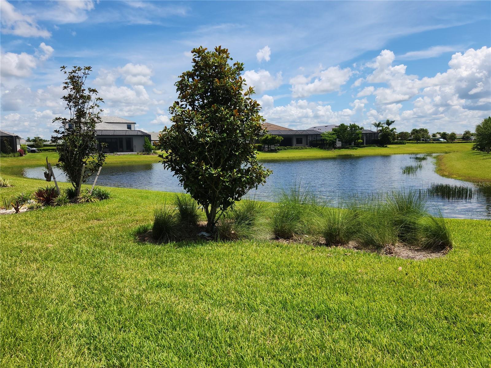 Image 30 of 45 For 14536 Eagle Branch Drive