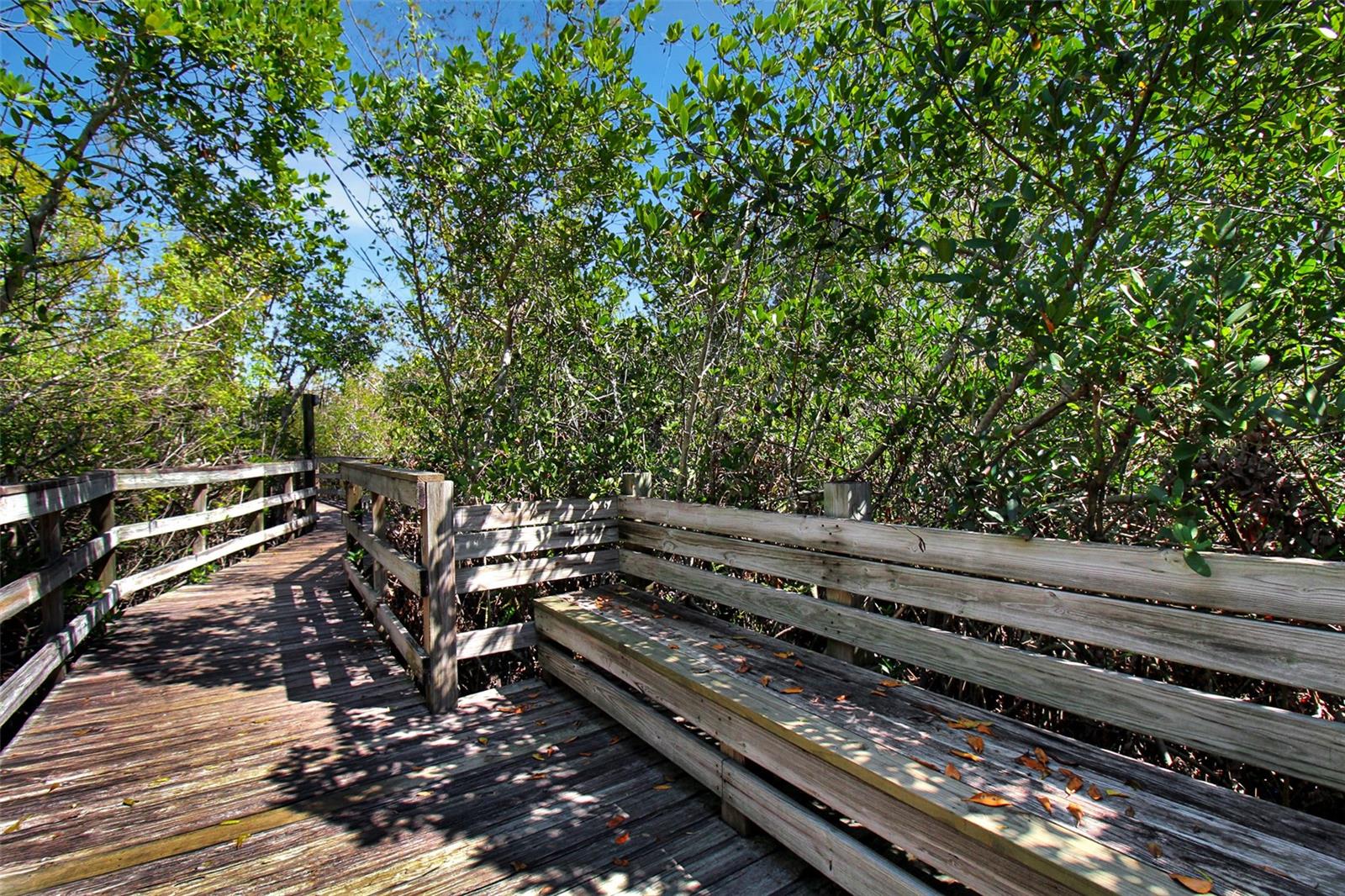 Image 48 of 60 For 535 Forest Way