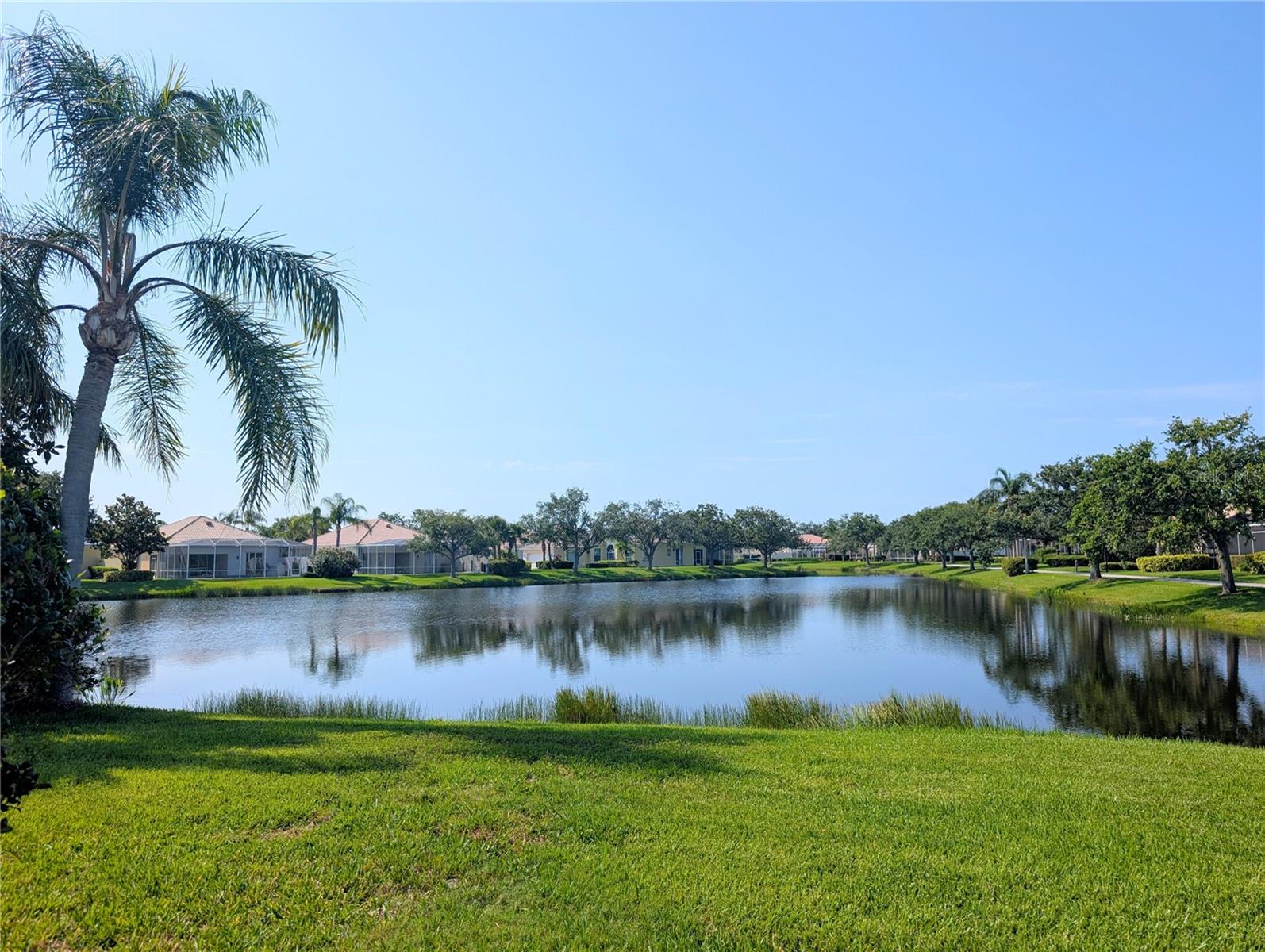 Image 4 of 39 For 5557 Avellino Place