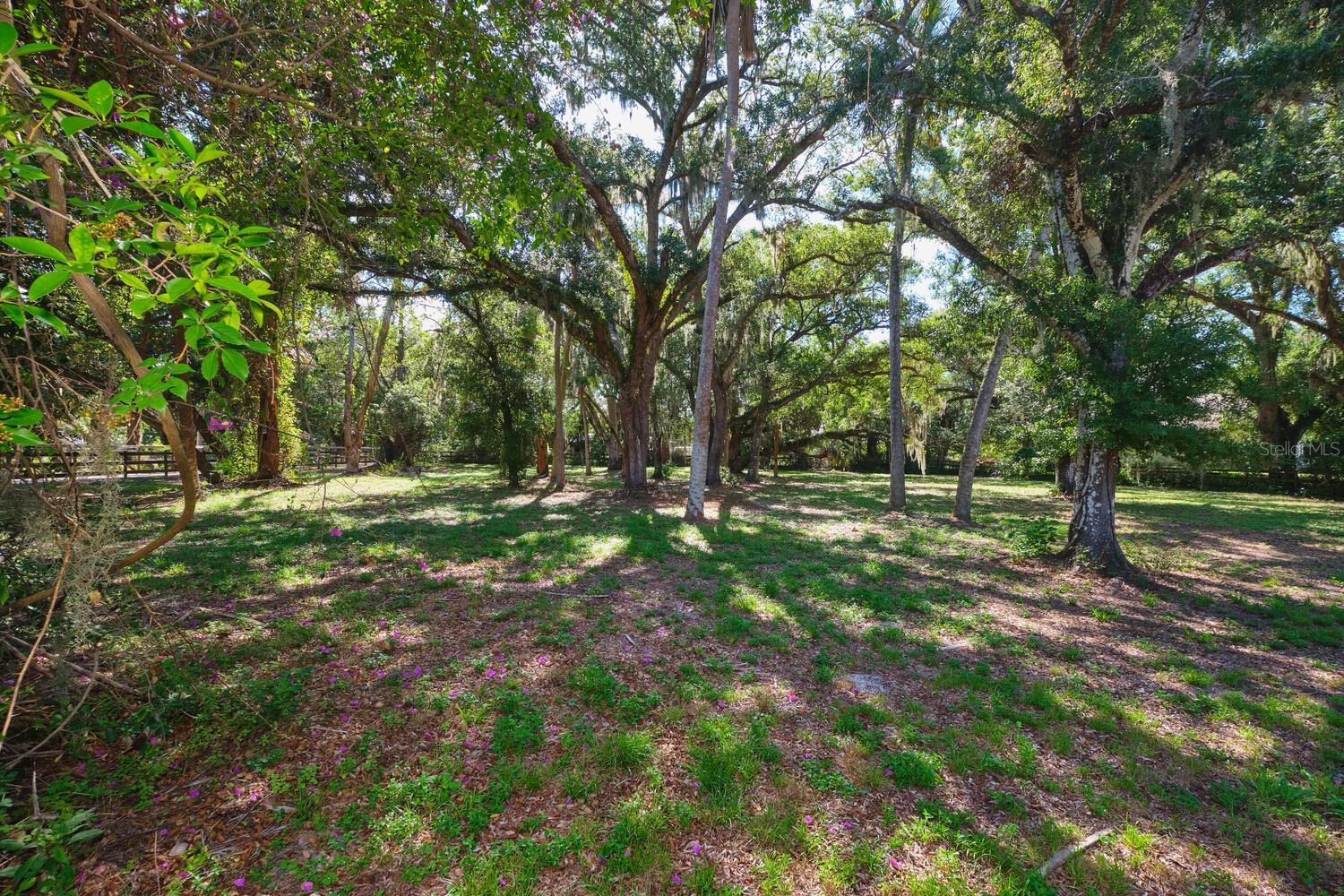 Image 75 of 100 For 4131 Ellis Road