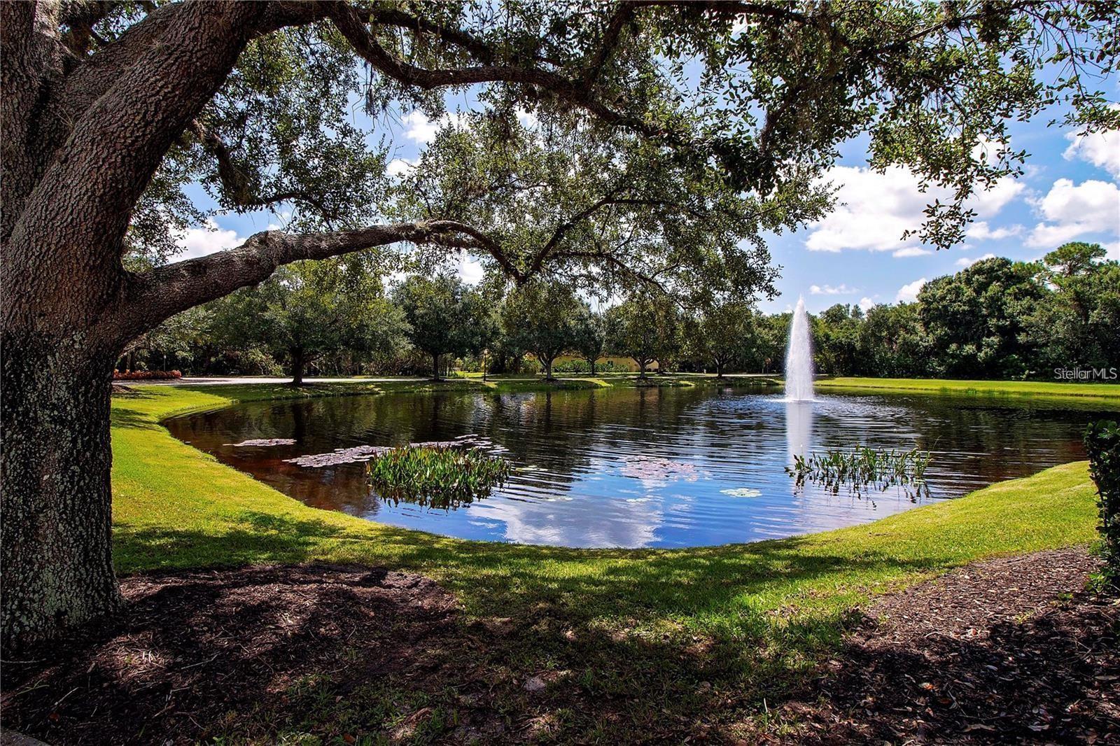 Image 53 of 71 For 650 Rosemary Circle