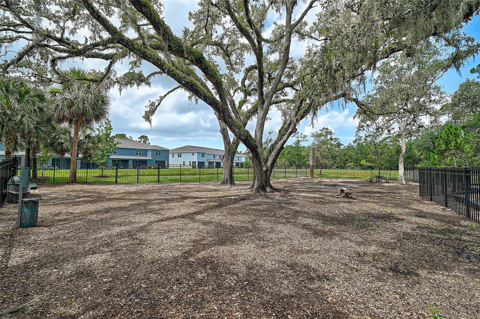 Image 47 of 51 For 2136 Midnight Pearl Drive