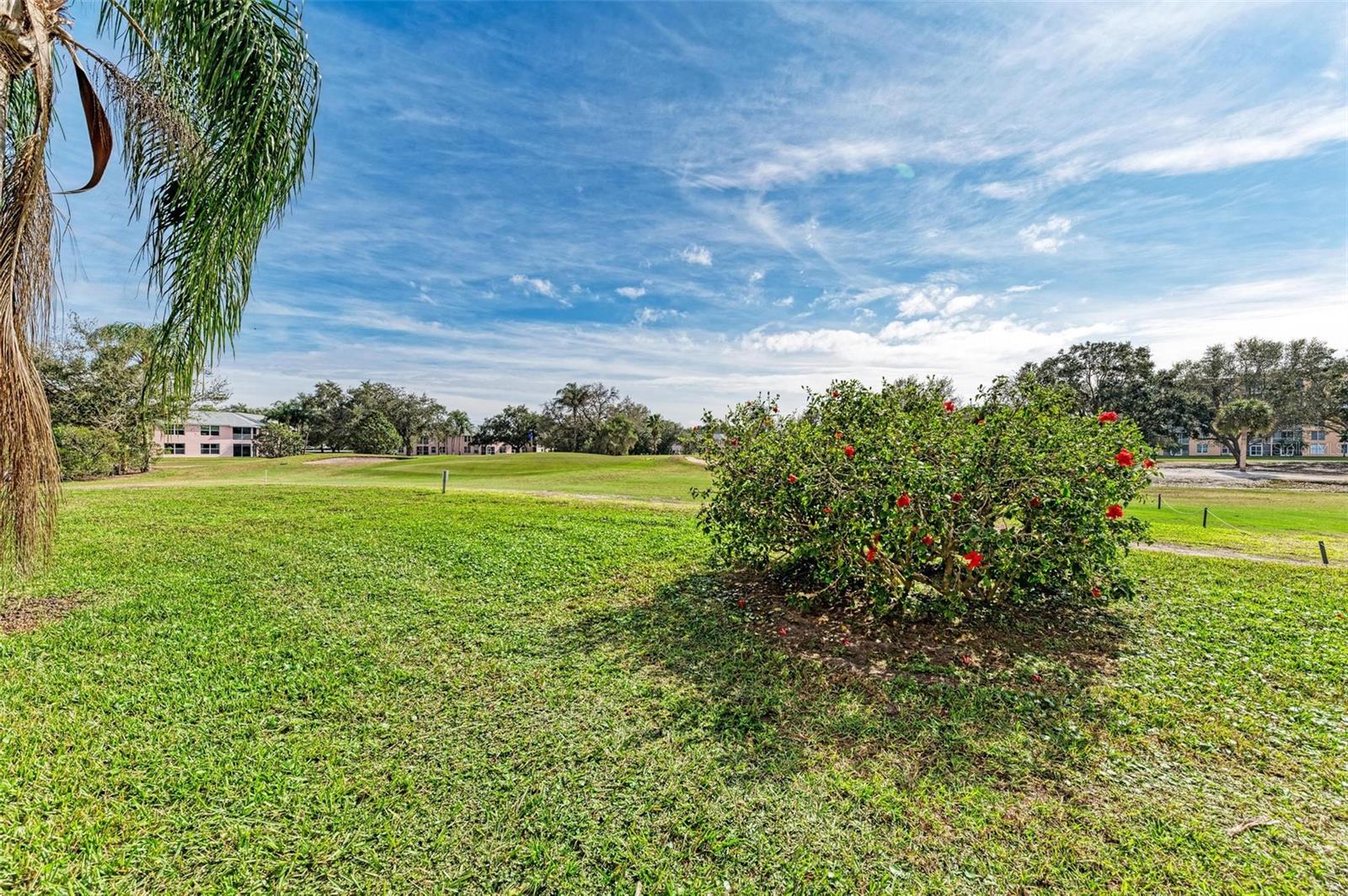 Image 31 of 42 For 4480 Fairways Boulevard 109