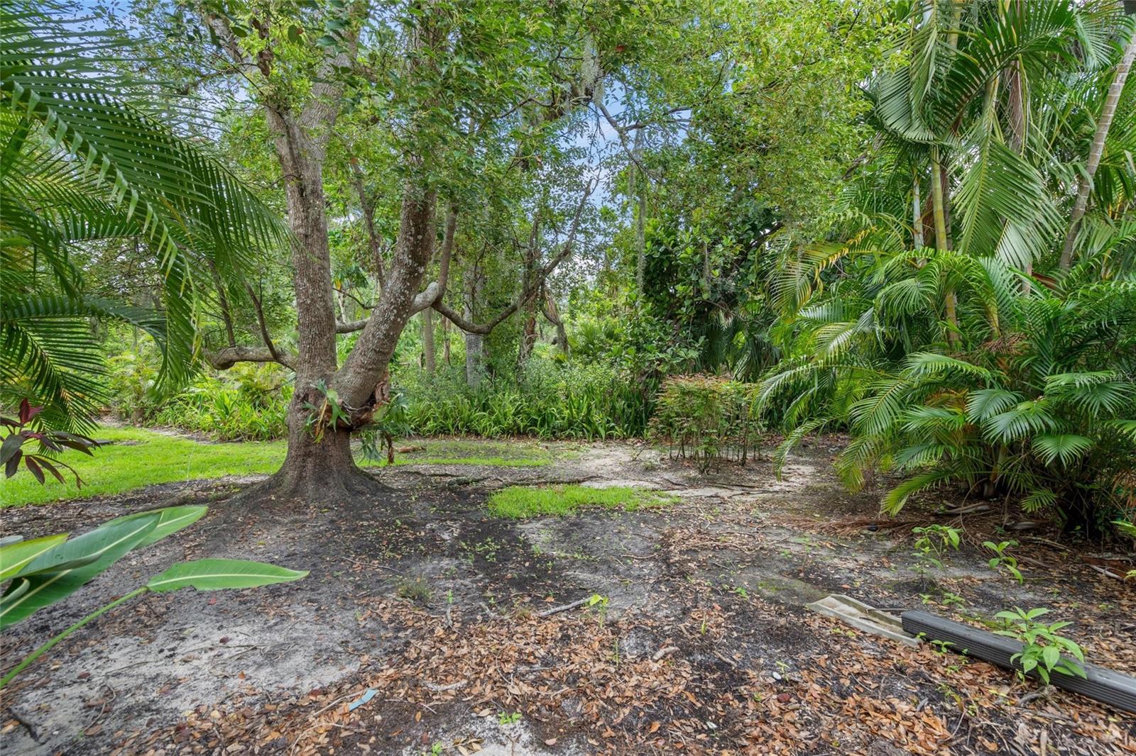 Image 31 of 43 For 4637 Willow Wood Circle 44