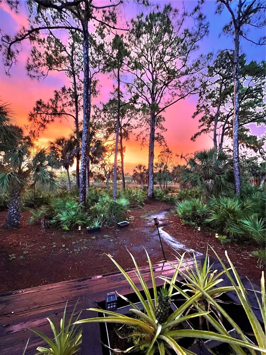 Listing photo id 80 for 5935 River Forest Circle