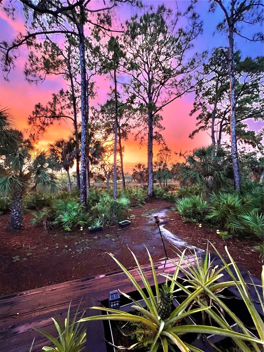 Listing photo id 87 for 5935 River Forest Circle
