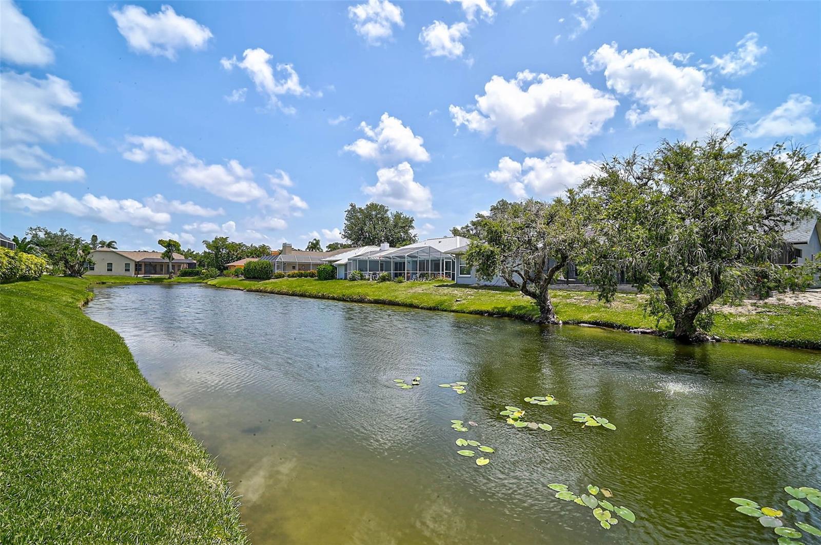 Image 46 of 66 For 4733 Spring Meadow Lane