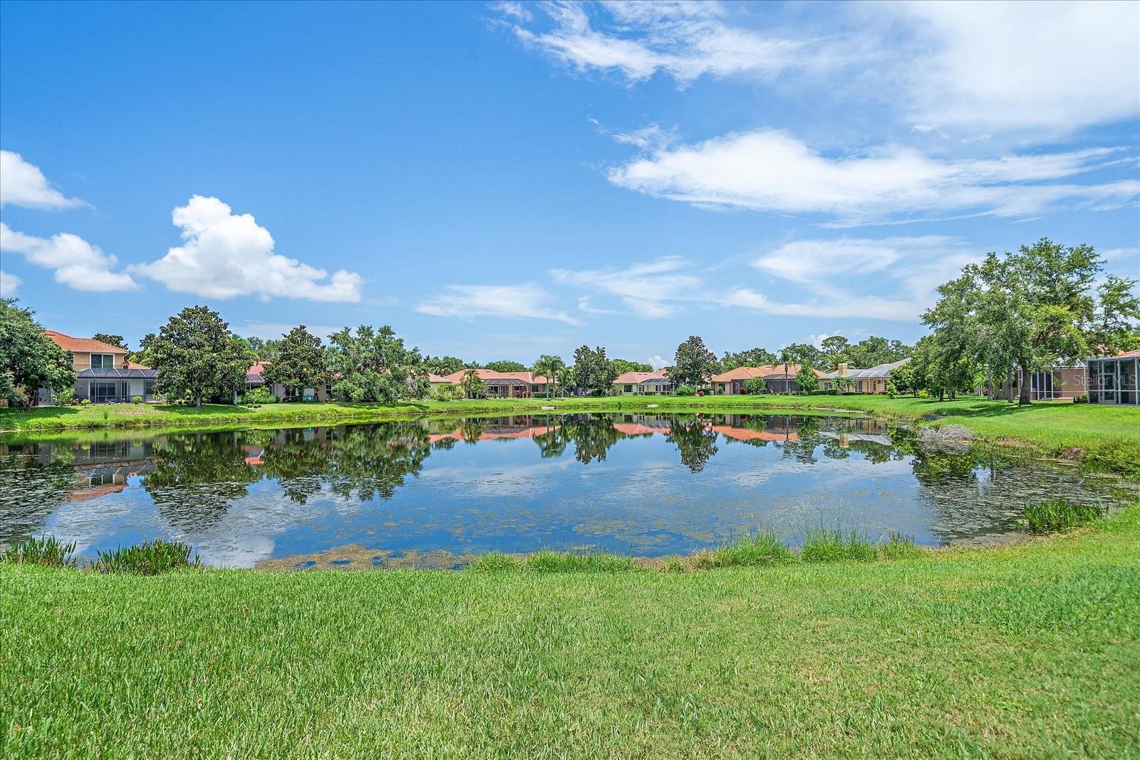 Image 38 of 40 For 5523 Secluded Oaks Way