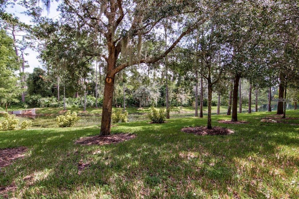 Image 17 of 20 For 8168 Villa Grande Court
