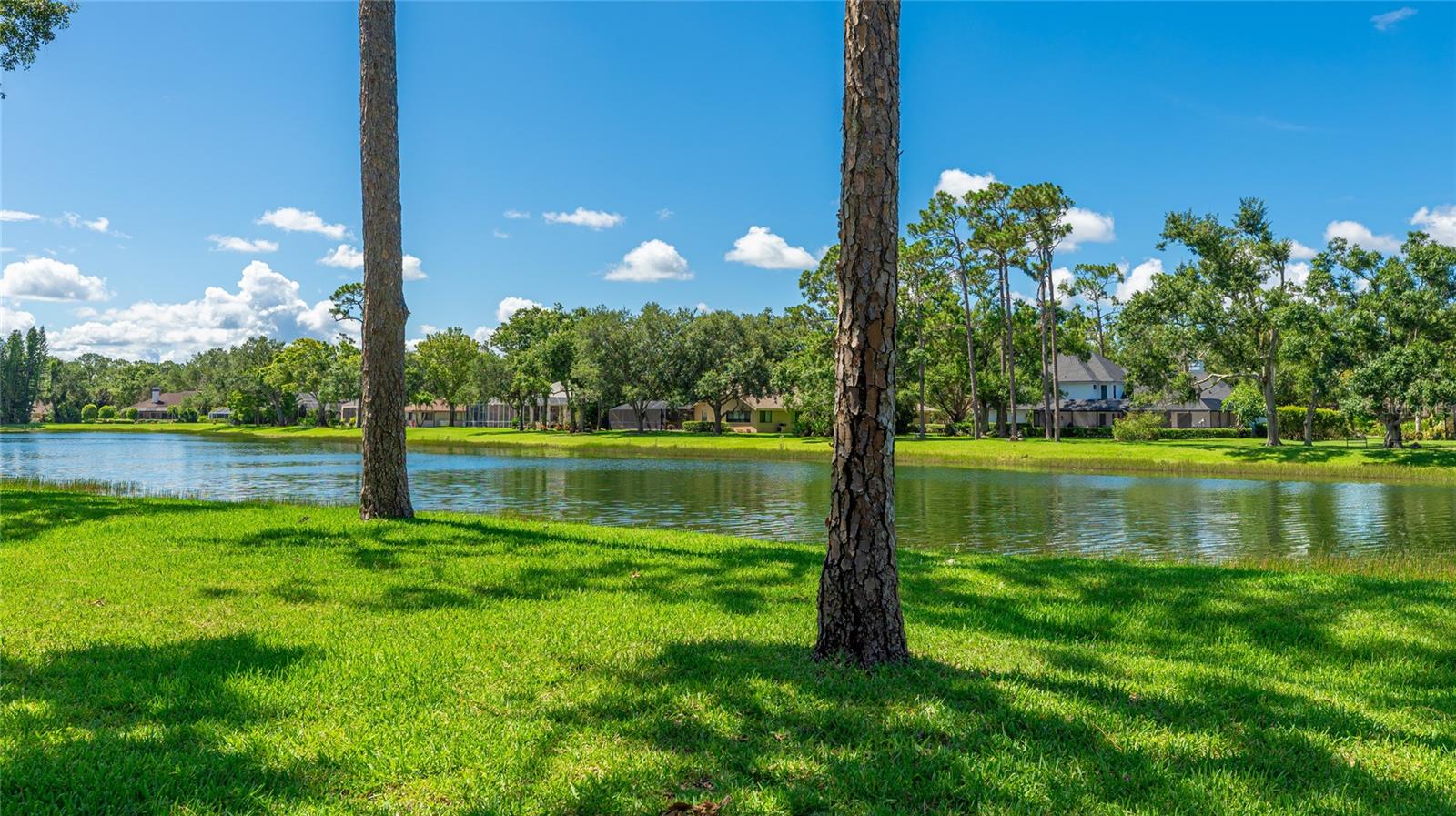 Image 53 of 62 For 7404 Weeping Willow Boulevard