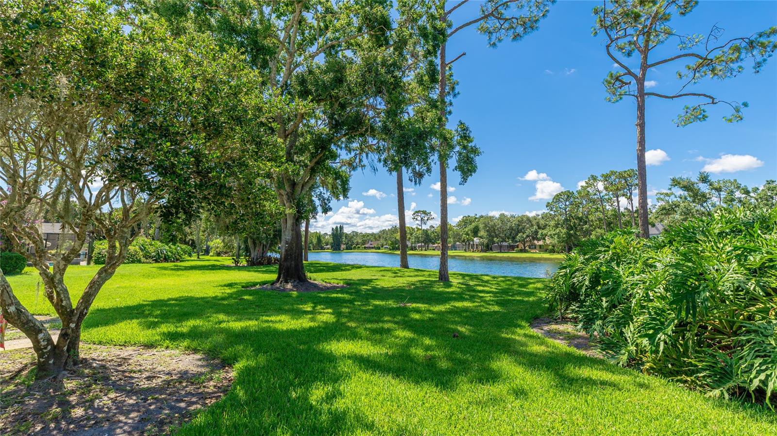 Image 54 of 62 For 7404 Weeping Willow Boulevard