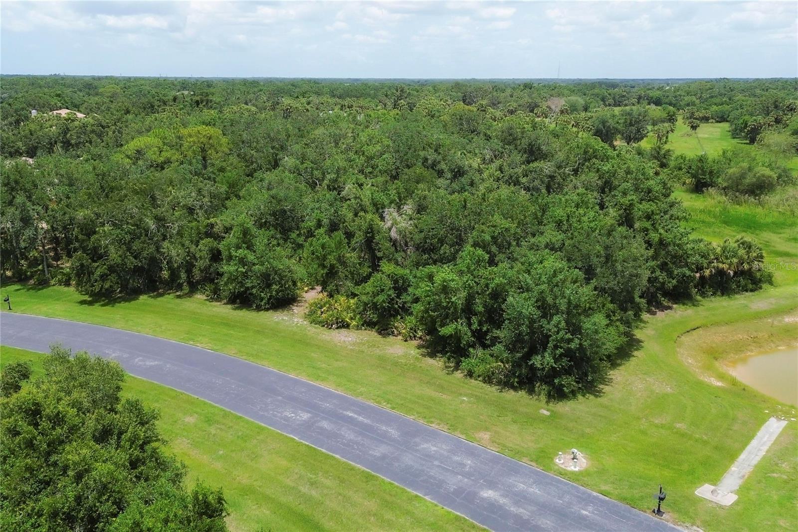 Image 13 of 28 For 10736 Leafwing Drive