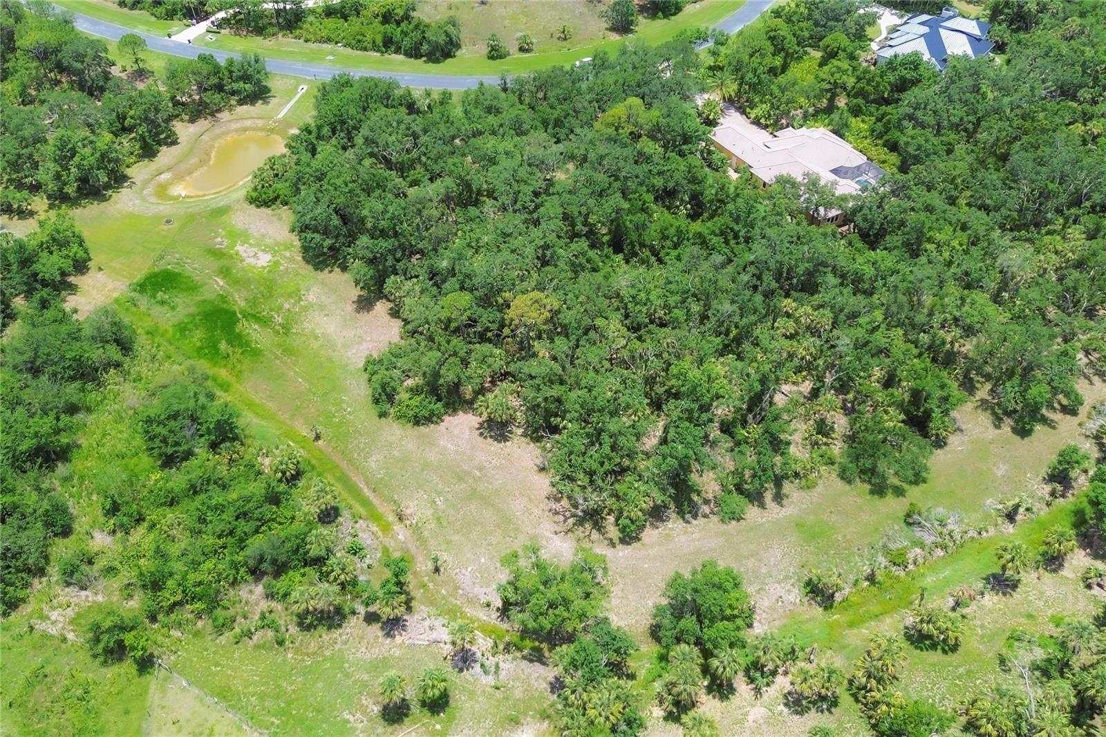 Image 19 of 28 For 10736 Leafwing Drive