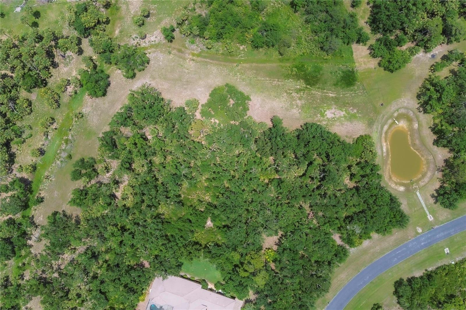 Image 21 of 28 For 10736 Leafwing Drive
