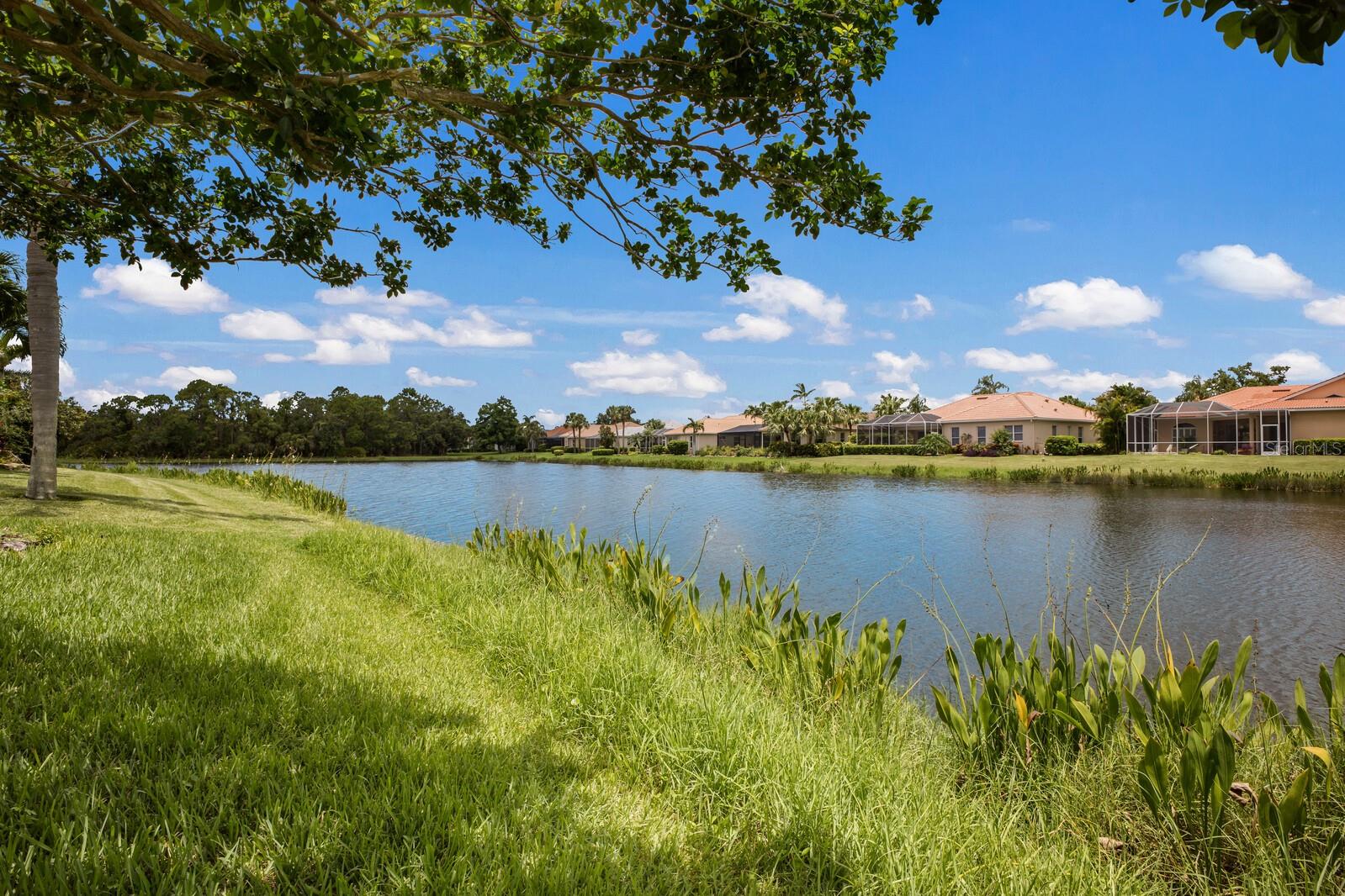 Image 46 of 58 For 8136 Deerbrook Circle