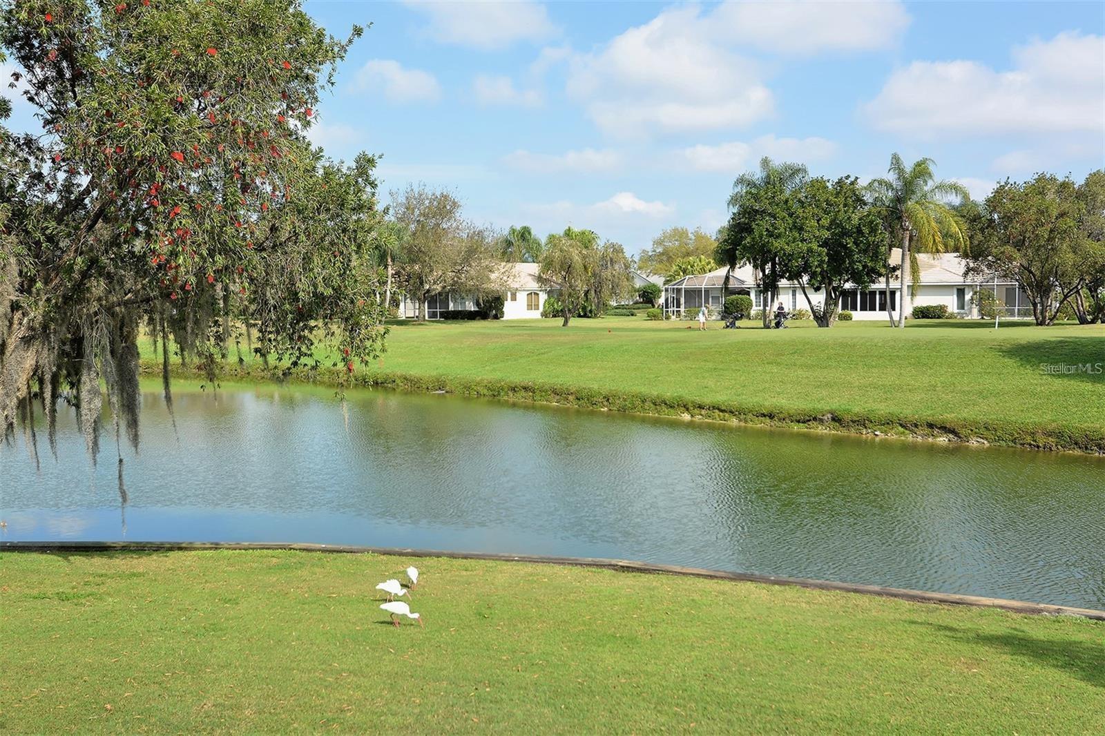 Image 58 of 64 For 4211 Caddie Drive E 202