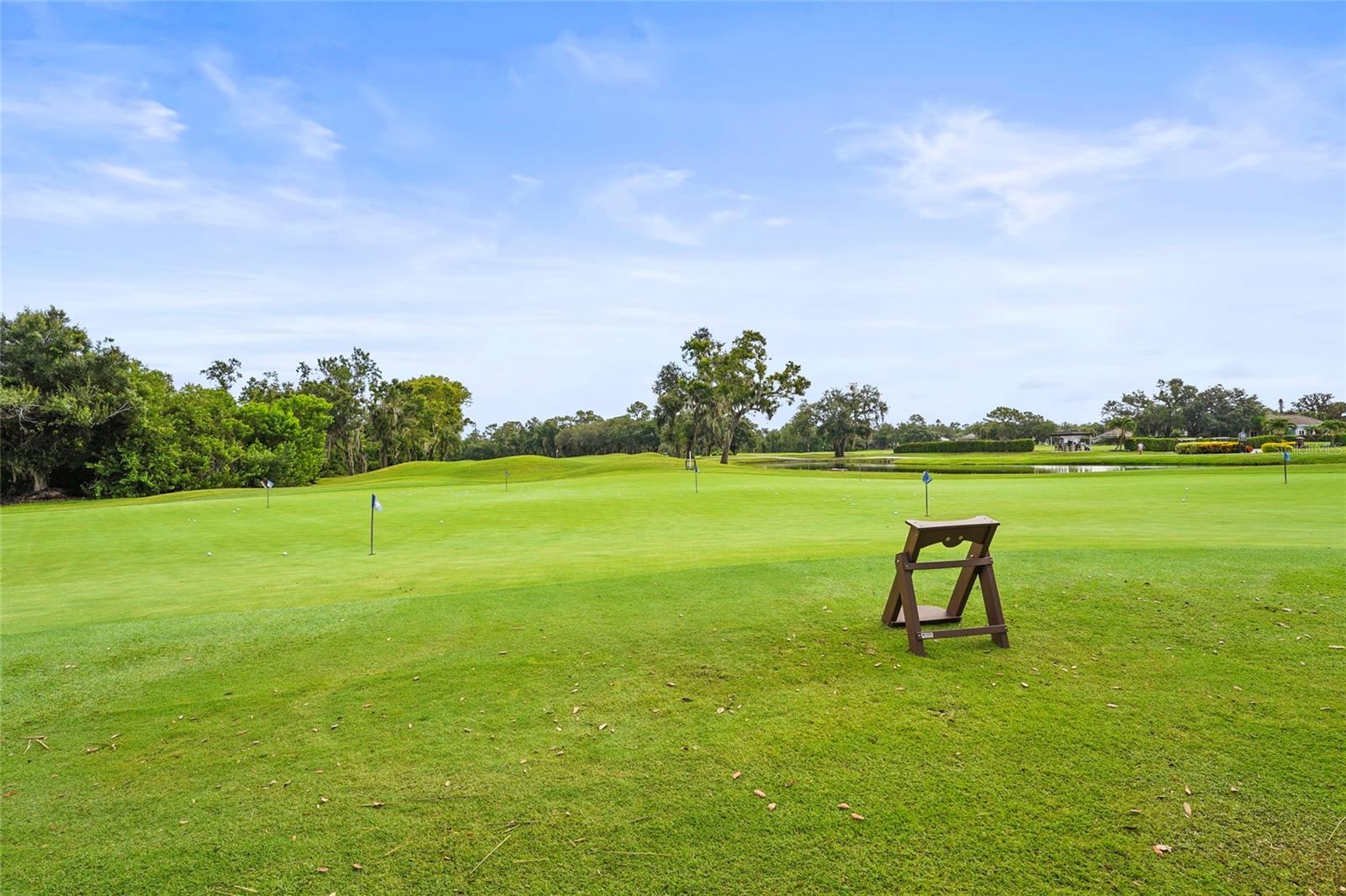 Image 82 of 93 For 4716 Royal Dornoch Circle