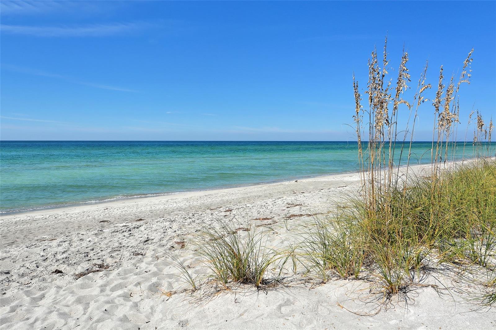 Image 44 of 68 For 4325 Gulf Of Mexico Drive 204
