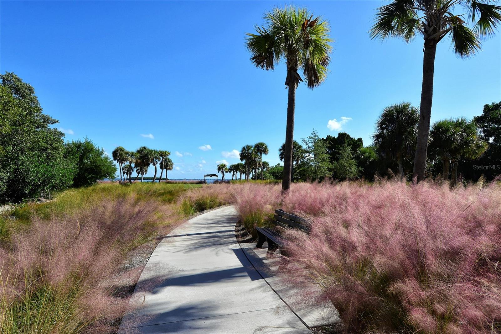 Image 57 of 68 For 4325 Gulf Of Mexico Drive 204