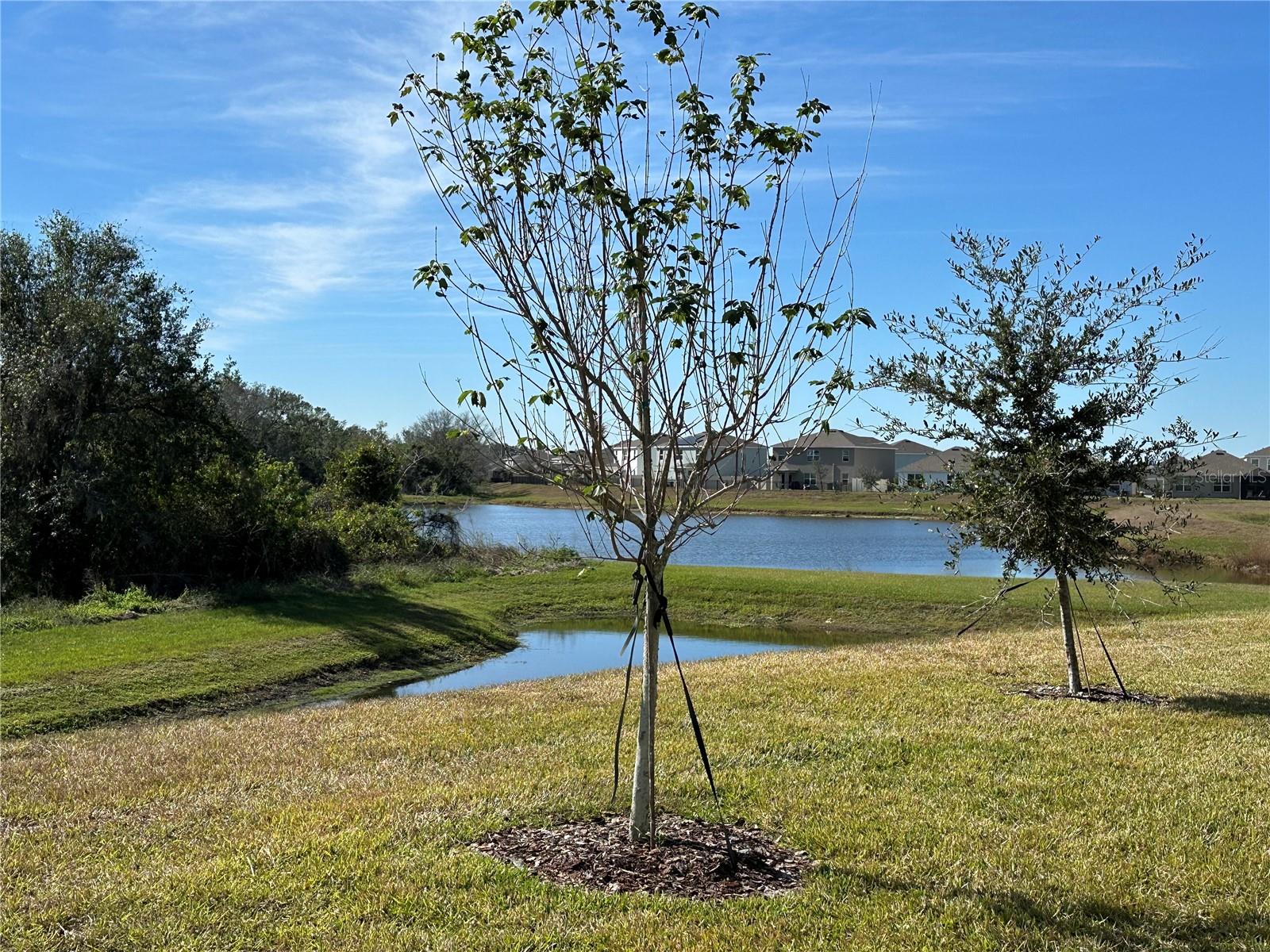 Image 3 of 32 For 17637 Cantarina Cove