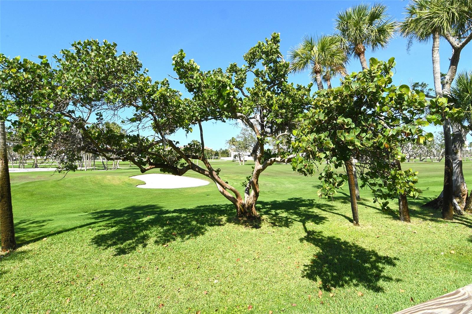 Image 49 of 60 For 2103 Harbourside Drive 1102