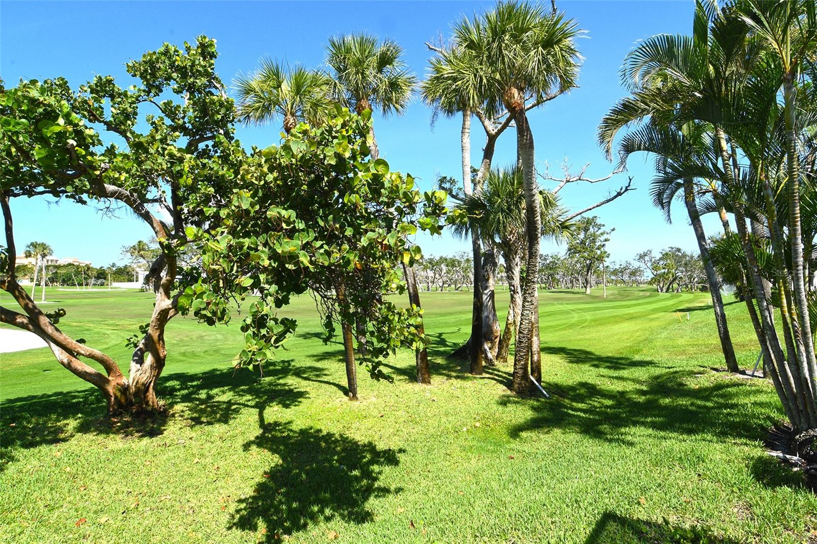 Image 50 of 60 For 2103 Harbourside Drive 1102