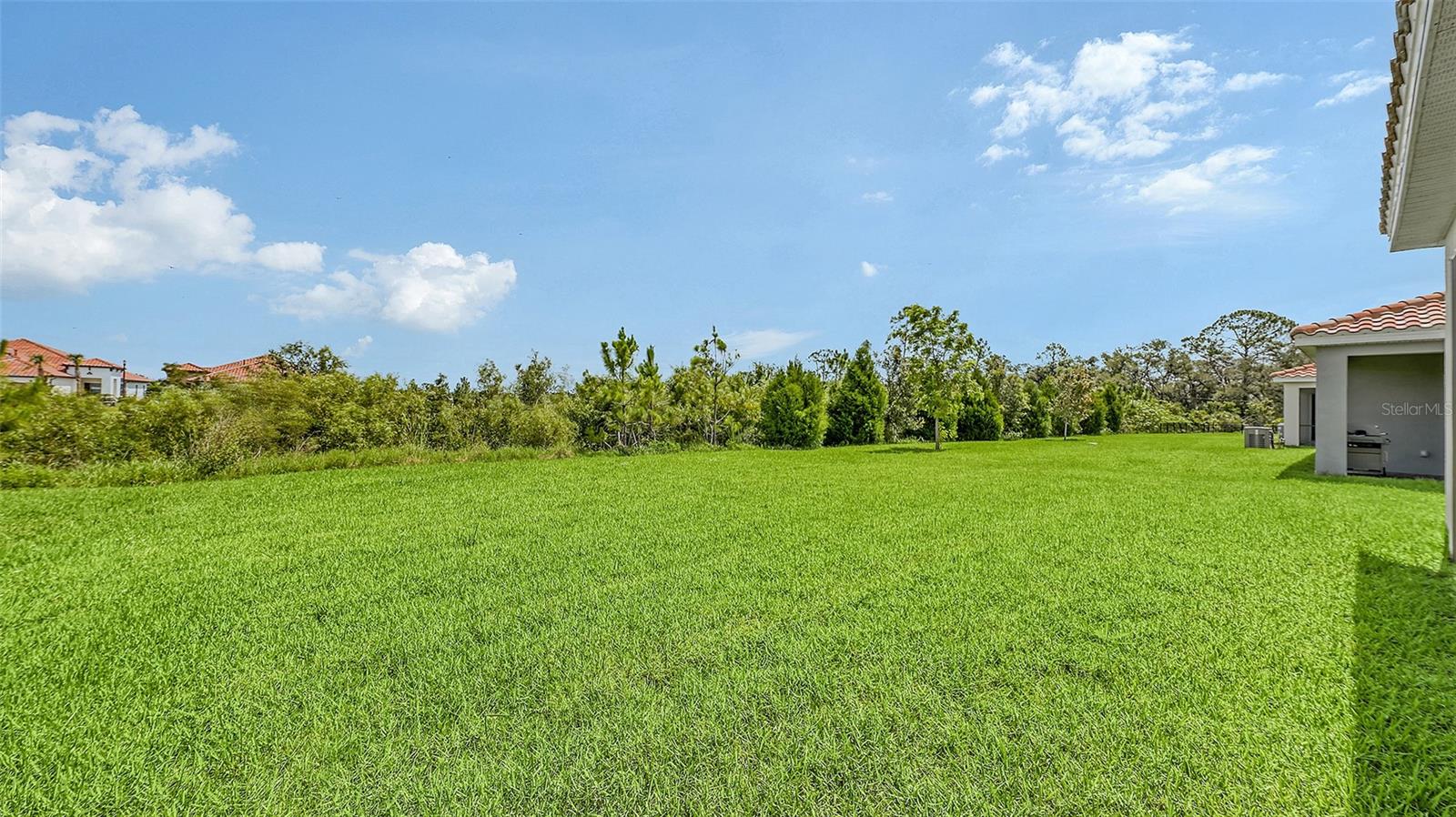 Image 41 of 81 For 491 Daylily Boulevard