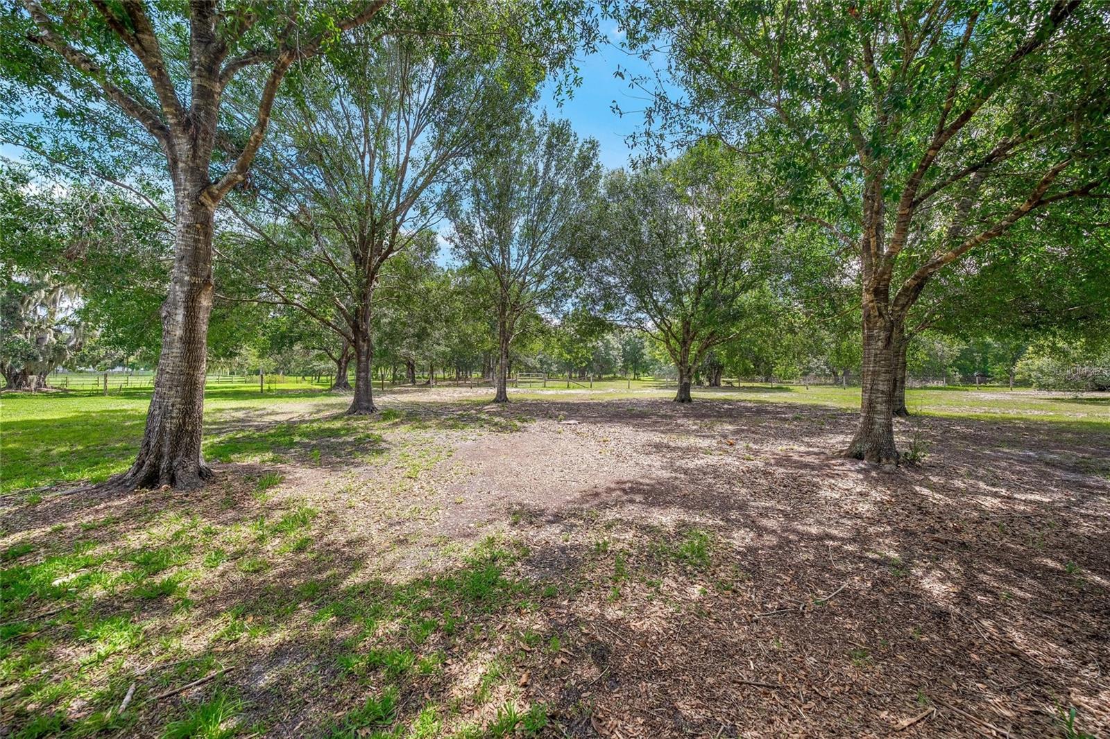 Image 44 of 60 For 7343 Palomino Trail
