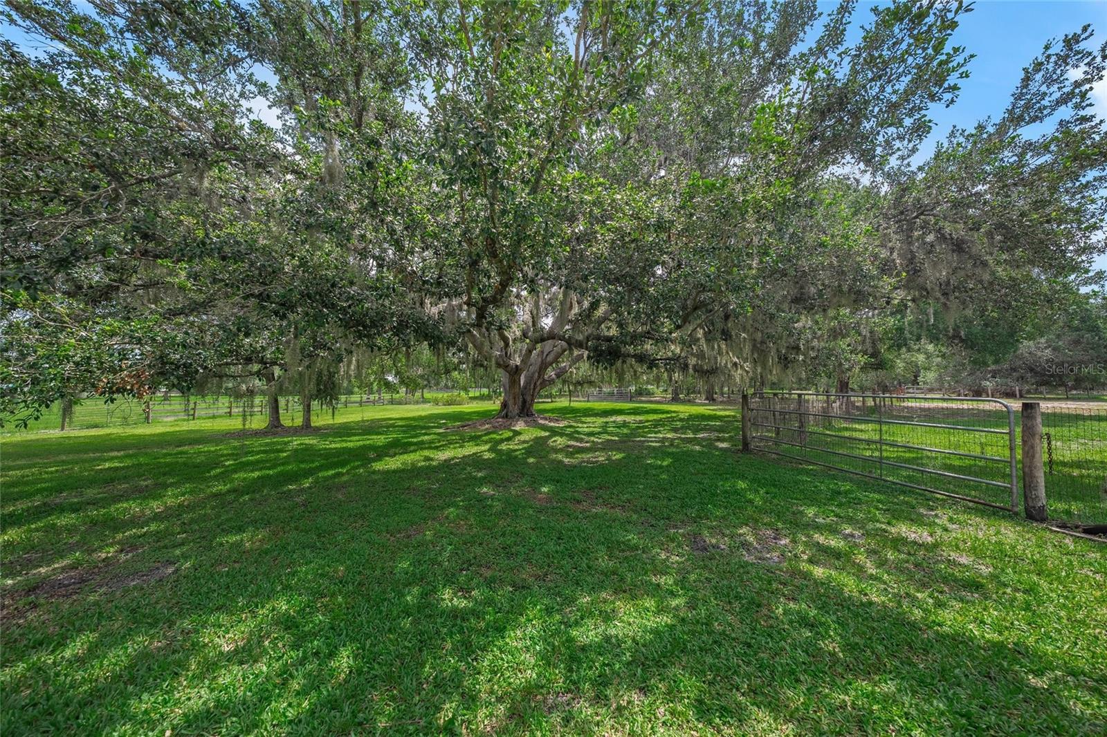 Image 46 of 60 For 7343 Palomino Trail