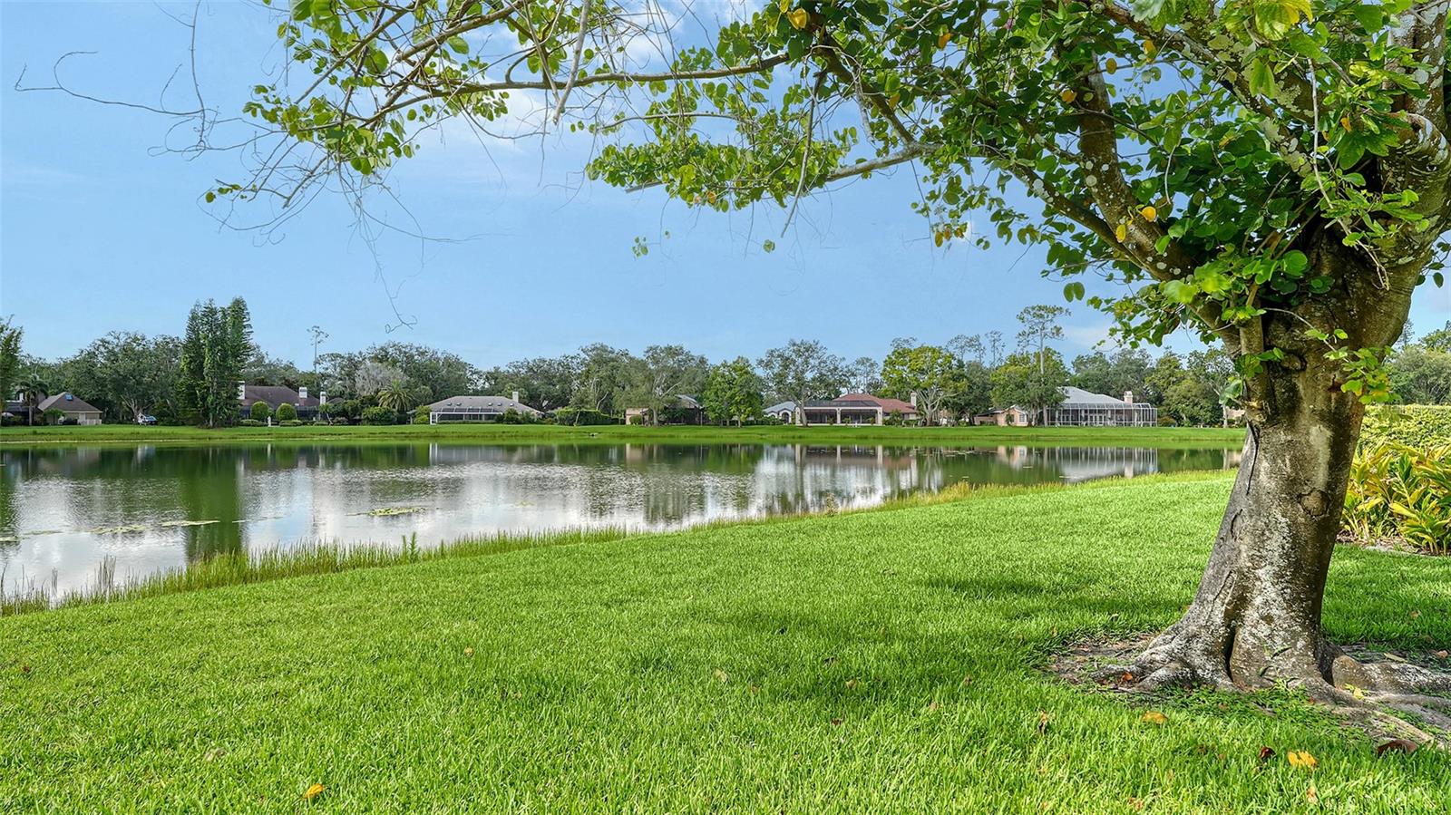 Image 57 of 66 For 7426 Weeping Willow Boulevard