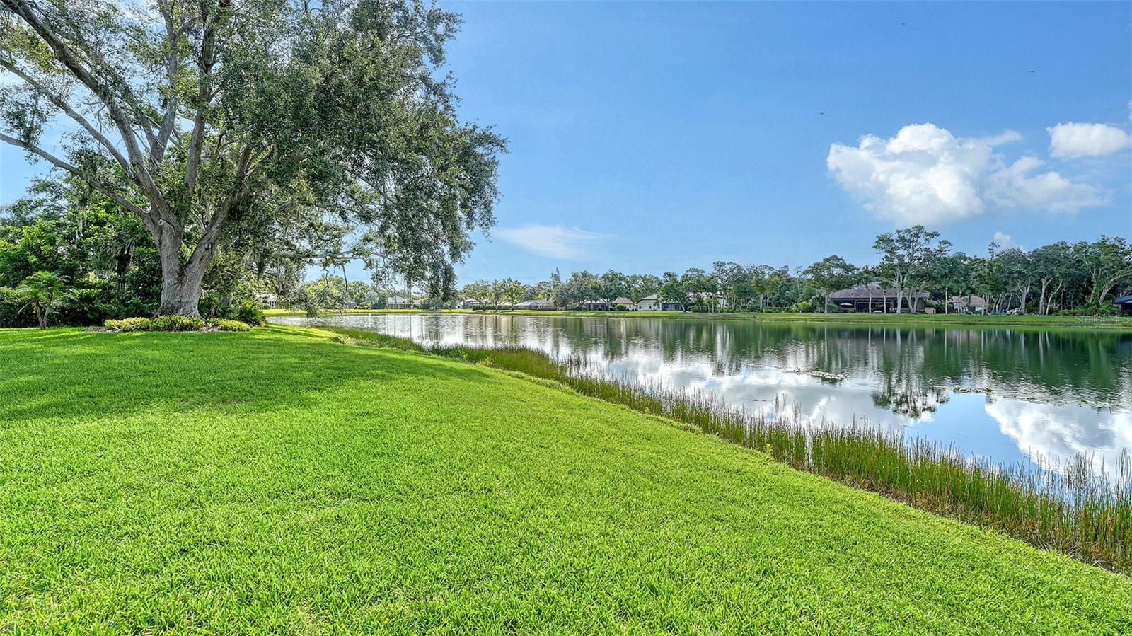 Image 58 of 66 For 7426 Weeping Willow Boulevard