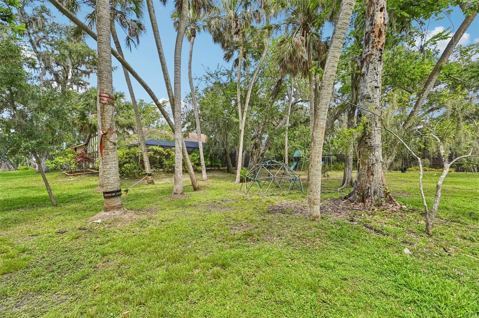 Image 37 of 42 For 1509 Shadow Ridge Circle